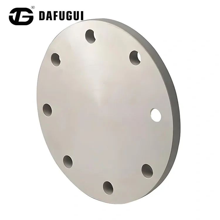 Flange cieche in acciaio duplex S32205